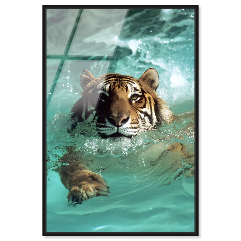 Oliver Gal Feline Pool Dip Animals - Framed Acrylic Glass Wall Art, Black, 24" H x 16" W