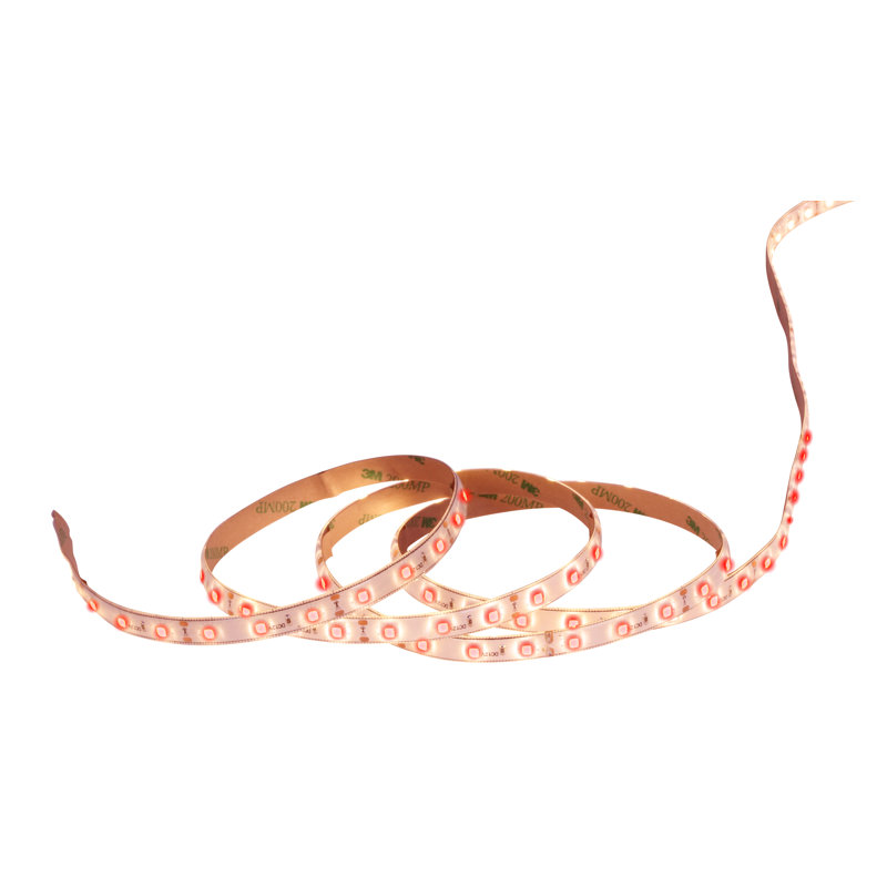 Detwiler 500 cm LED Strip Light, Red