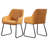 Braiden Upholstered Dining Chairs With Arm-2143936394