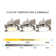 72" 4-Blade DC Motor Ceiling Fan with LED Light and Remote