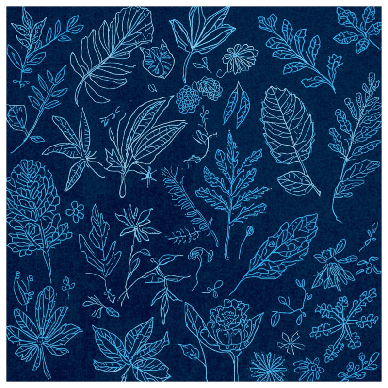 Botanical Leaf Sketches Comforter, Queen