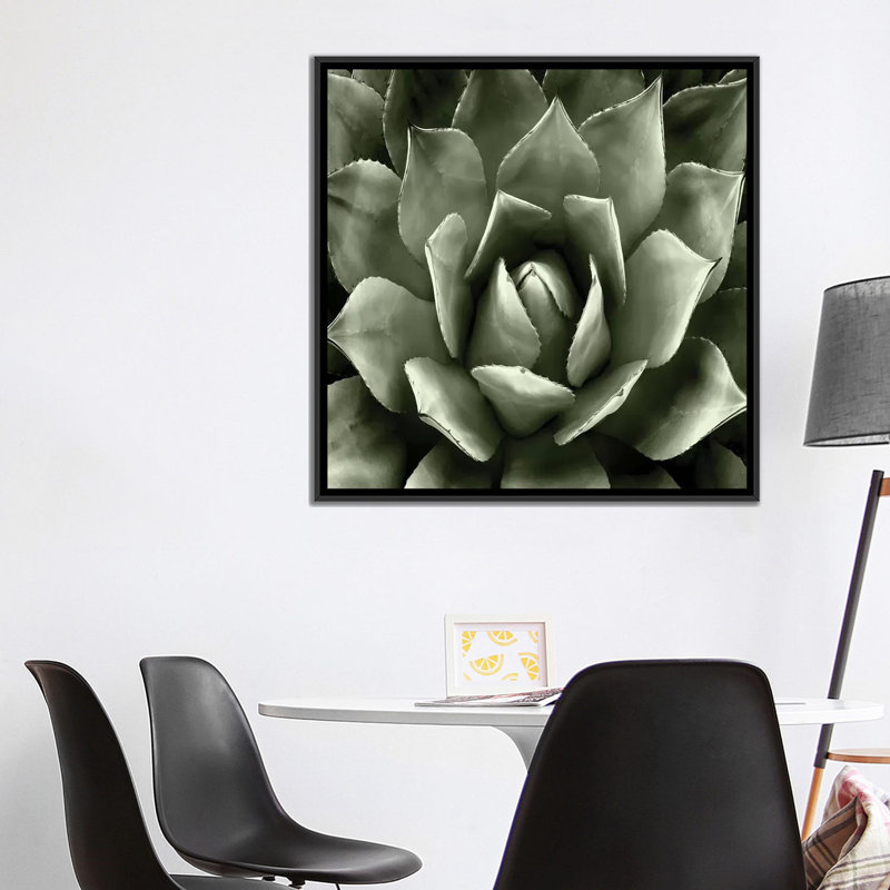 «Succulent II», impression sur toile, H 26 po x l 26 po x P 1,5 po, Toile avec cadre noir, Blanc