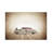 Argo Ambulance - Print on Canvas-1497047185-1497048939