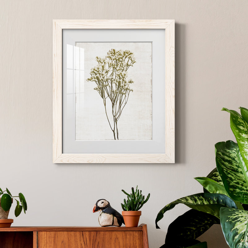 Farmhouse Pressed Flower II - peinture encadrée, H 20 po x l 17 po x P 1,5 po, Blanc