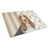 Basset hound tricolore et blanc est en rupture de stock