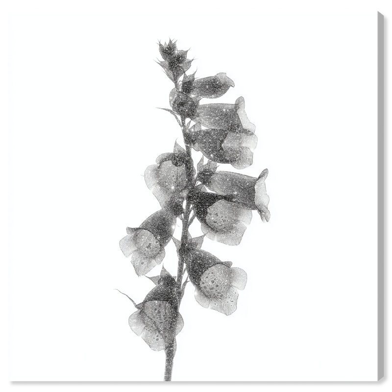 Ossified Petals II Canvas Floral & Botanical Print by Oliver Gal, Black Frame, 12 x 12, 12"H x 12"W, Gallery Wrapped