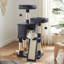 Cat Tree For Indoor Cats-1867777368
