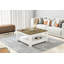 Animesh coffee table