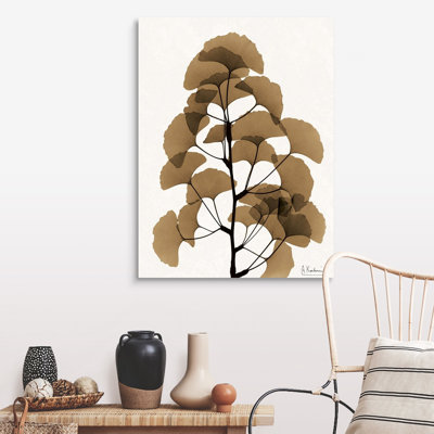 " Aged Ginko " X-Ray Photography Print
