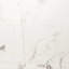 Dreamstone 24X24 Matte Porcelain Tile-439360975