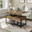 Table basse à plateau relevable multifonctionnel 3 en 1 avec rangement caché Dionysia-1589344782