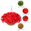 52cm Plant