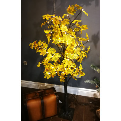 Arbre d’érable avec lumières del de feuilles