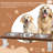 Elevated Feeder-88145633-88145636