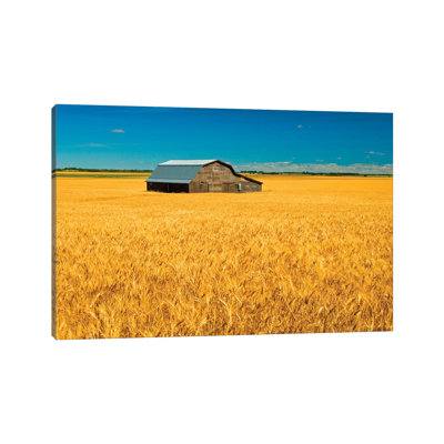 Canada, Manitoba, Holland. Barn And Wheat Field. by Jaynes Gallery - Wrapped Canvas Print