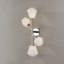 Tring Wall Sconce by PEMBROOKE & IVES-314176128