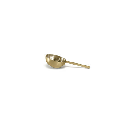 Stainless Steel Ice Scoop