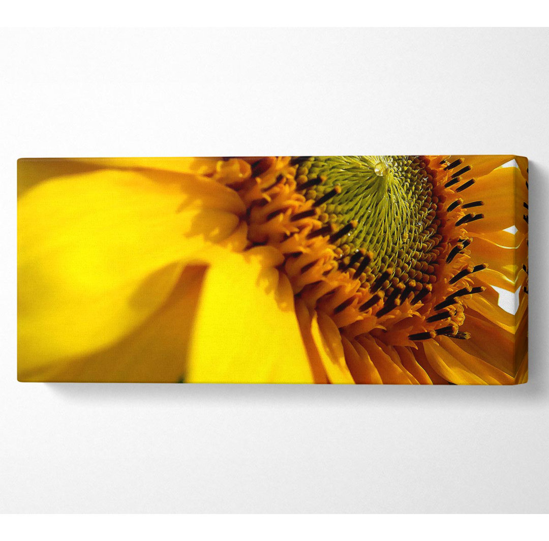 Sunflower Side - Kunstdrucke auf Segeltuch