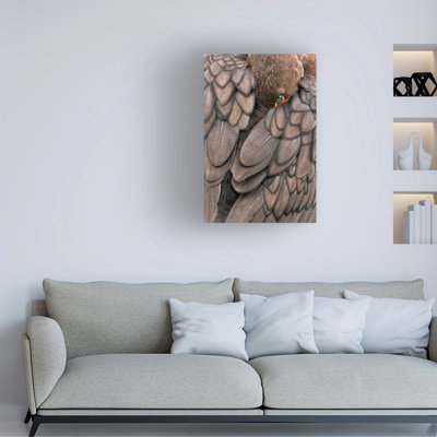 Modern & Contemporary