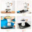 Belfry Kitchen Hoyt Stovetop Espresso Maker-744655087