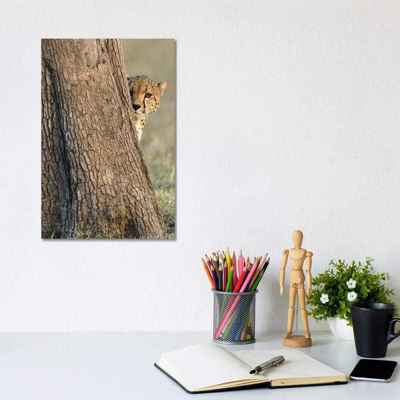 Shy Cheetah by Elmar Weiss - Wrapped Canvas Print, 30.48cm H x 20.32cm W x 1.9cm D