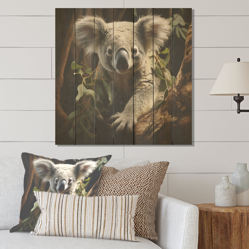 Mignon koala en Australie I - animal koala sur bois, H 25 po x l 25 po