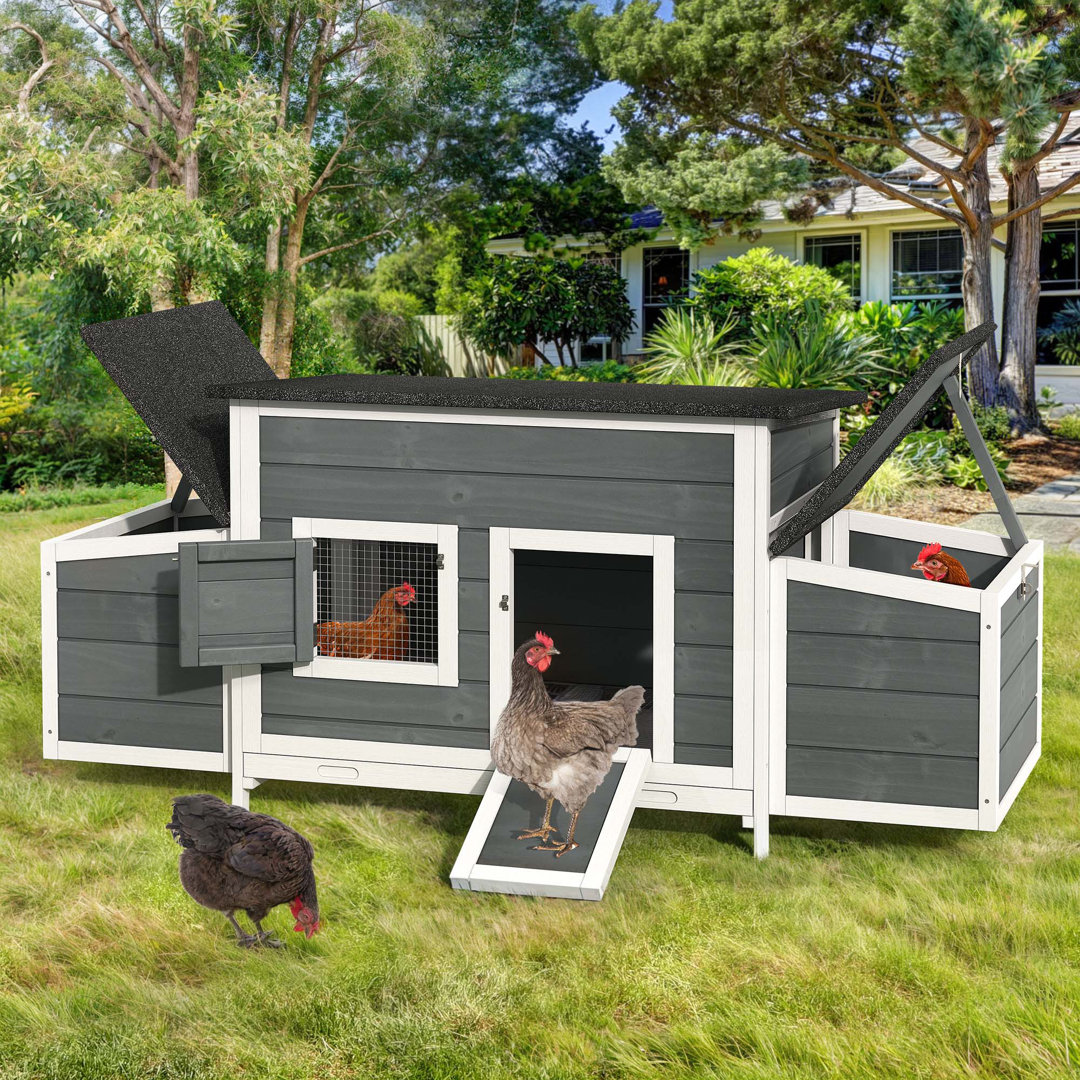 Tucker Murphy Pet™ 11.5 Square Feet Chicken Coop With Nesting Boxes Tucker Murphy Pet™ 