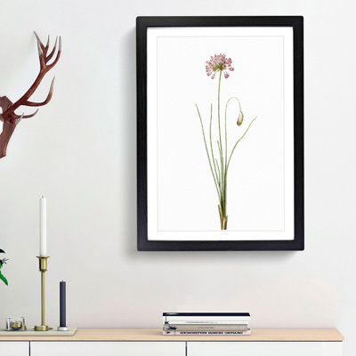 Autumn Onion Flowers by Pierre-Joseph Redoute - Framed Print