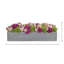 Assorted Sedum and Roses in Fiberstone Planter-844902045-844902034