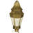 Statesboro Frosted Lantern Head