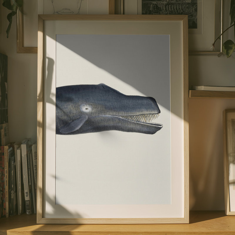 Wrapped Canvas Print, 76.2 cm H x 50.8 cm W