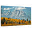 Grand Tetons d'Alvord en automne-108706143