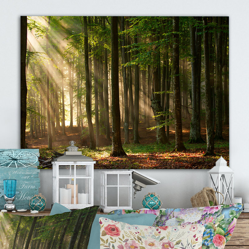«Sunshine Through the Trees in the Woods», reproduction sur toile encadrée, H 8 po x l 12 po x P 1 po, Toile tendue