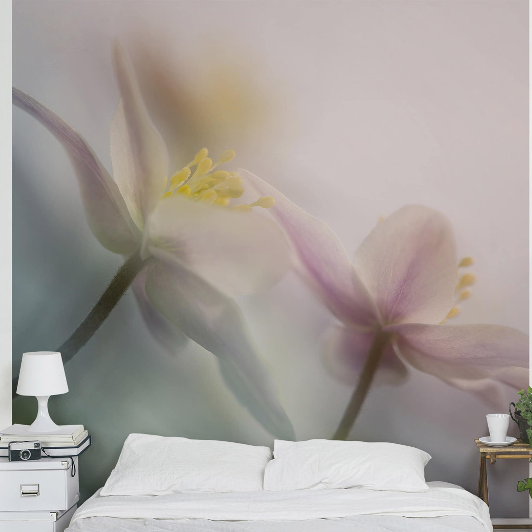 Wood Anemone 3.36m x 3.36m Textured Matte Self Adhesive Mural