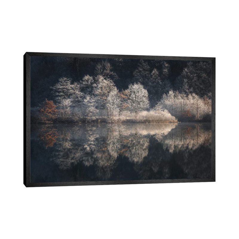 Morning Light by Kristjan Rems - Gallery-Wrapped Canvas Giclée on Canvas, 101.6 cm H x 66.04 cm W, Black Framed