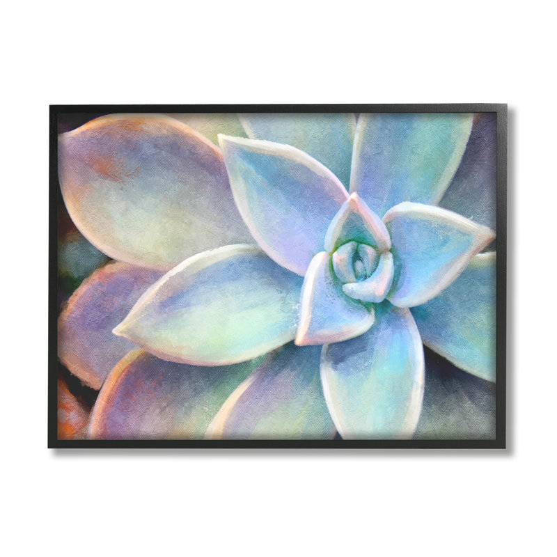 «Succulent Plant Vibrant Bloom», impression, H 11 po x l 14 po x 1,5 po, Giclée encadrée blanc bord de mer