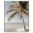 White Floater Frame