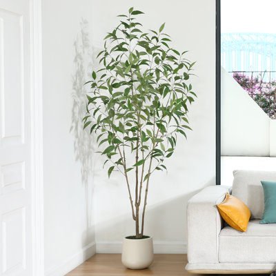 Arbre à eucalyptus AdcockFaux avec pot rond blanc, plante d'eucalyptus pré-empotée pour la décoration intérieure