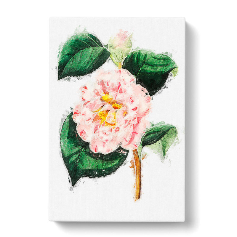 Pink Camellia Flowers - Wrapped Canvas Painting, 60cm H x 40cm W x 3cm D