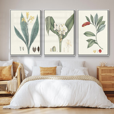 " Soft Tropical IV " 3 - Pieces