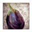 Art sur toile, bolologia Sasha-104140703