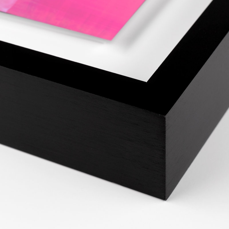 «Rose Garden» par Kim Whiteside - impression encadrée, H 24 po x l 24 po x P 1,5 po, Noir