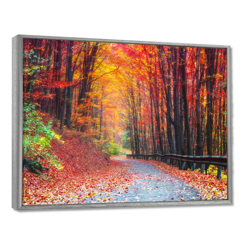 « Road In Beautiful Autumn Forest » - reproduction de photo, H 16 po x l 32 po, Cadre flottant, Argent