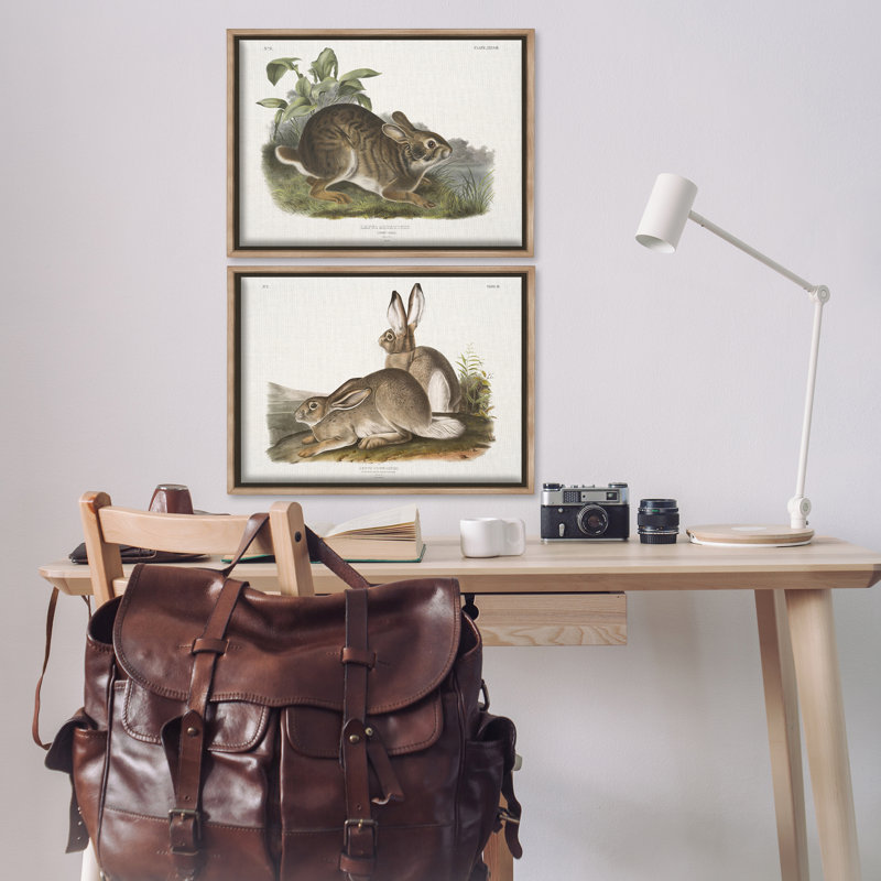 «Gentle Resting Cottage Rabbit», ensemble de 2 toiles flottantes encadrées par Wild Apple Portfolio, H 17 po x l 25 po