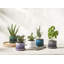 Le Creuset Enameled Stoneware Pot Planter-66655437