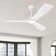 Ceiling Fan with LED Lights