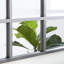Miroir mural Haider-245214364-245215072-245283436