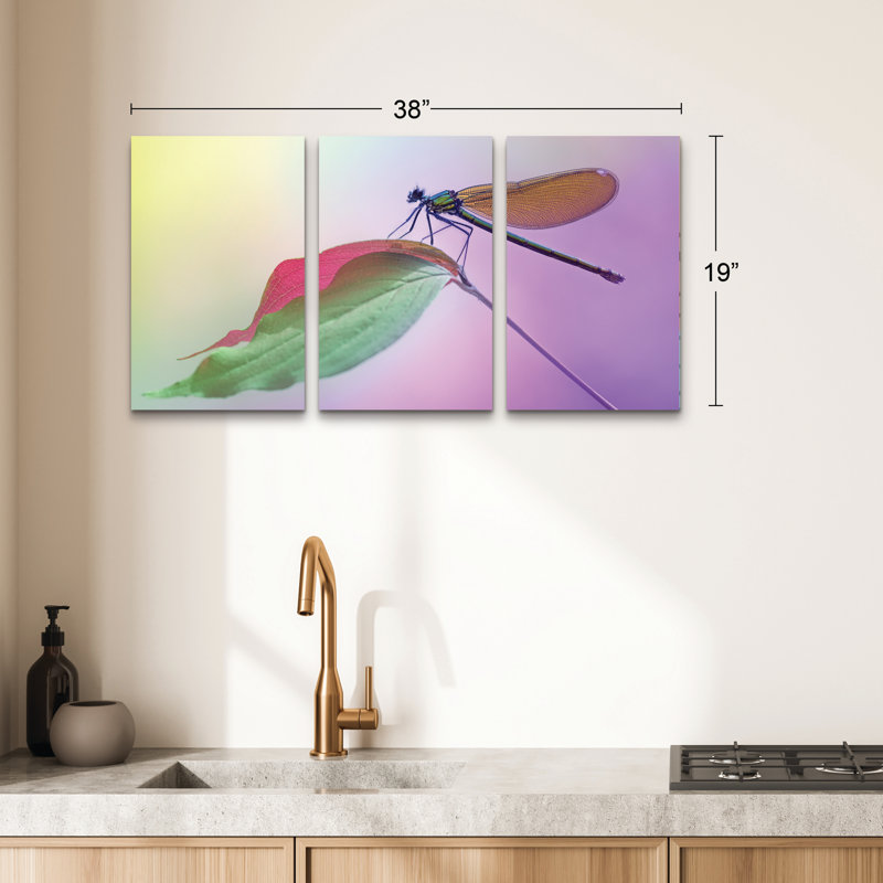 3 Panel Wall Art Set - Fabrizio Daminelli 'Calopteryx Splendens' Canvas Wall Art for Living Room, Bedroom, or Office Decor by 