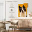 Border collie adorable Brampt-108545516