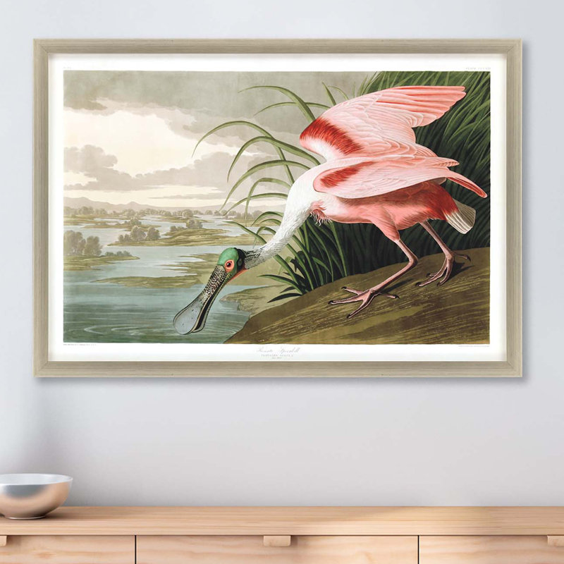« rosee spoonbill », peinture encadrée